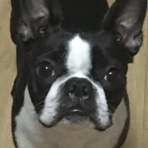 Meet your Posher, Meri